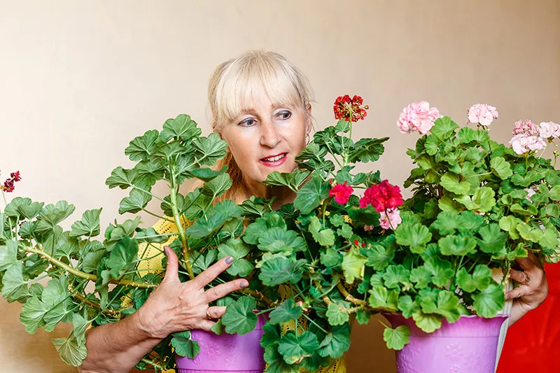 10-señales-plant-lady-1