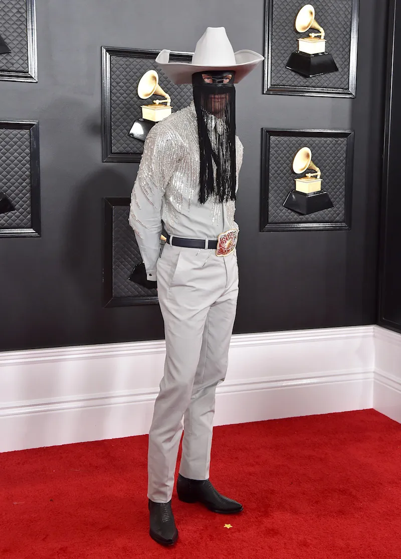 62nd Annual GRAMMY Awards - Arrivals