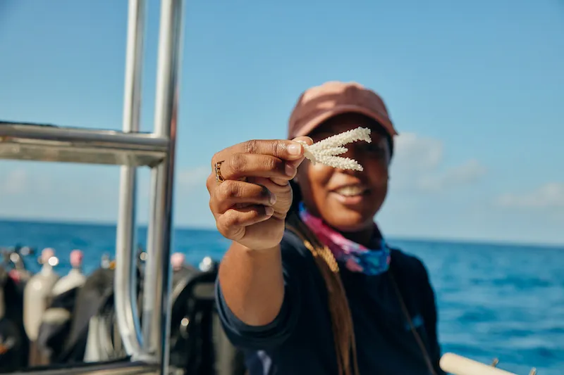 bahamas-1