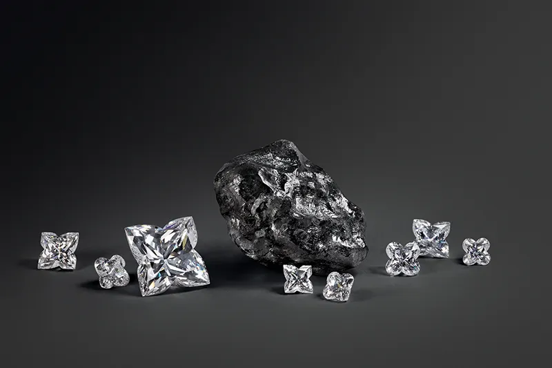 louis-vuitton-diamante-sewelo-2