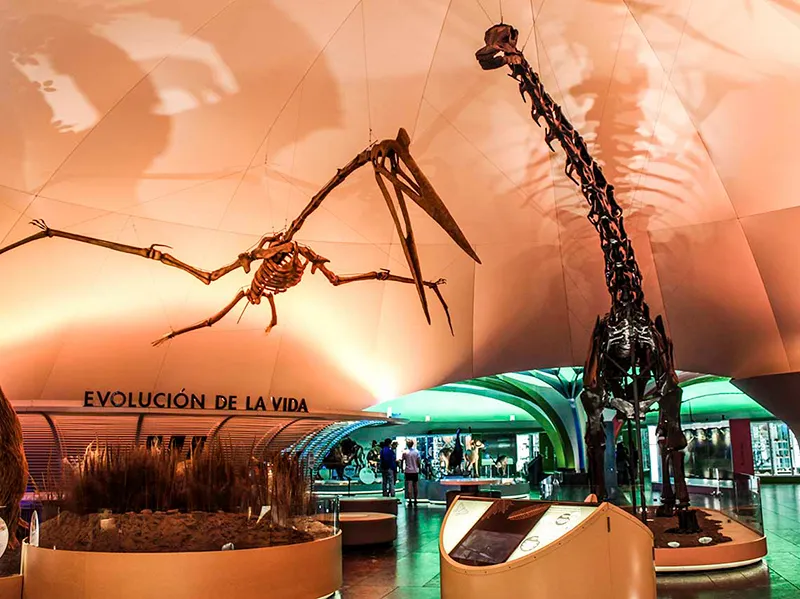 museos-mexico-recorrido-paseo-virtual-2
