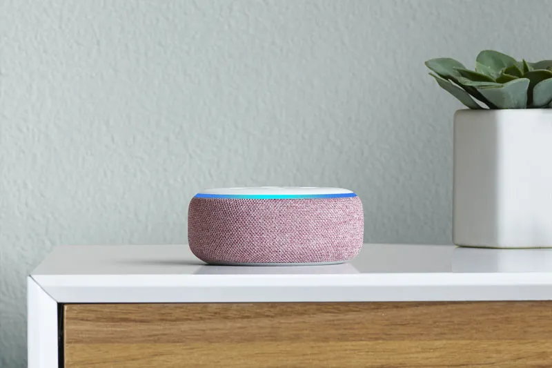 Amazon Echo Dot, Plum, on dresser