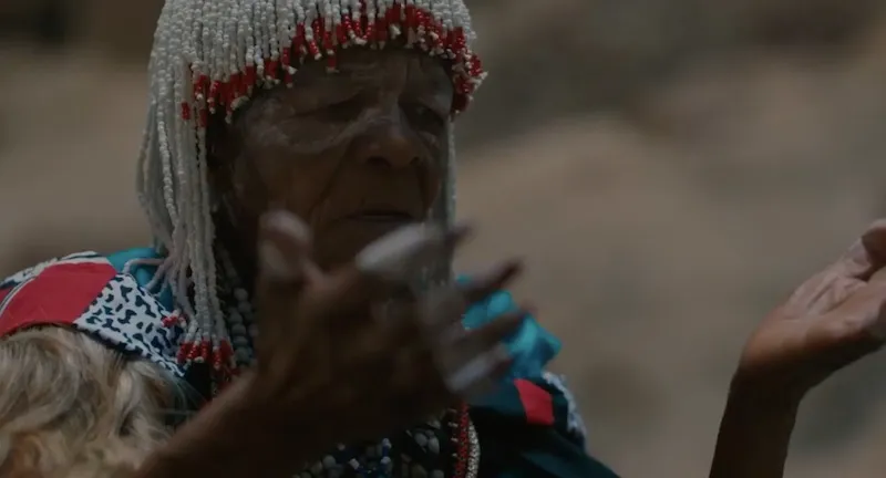 Video de Black Is King.