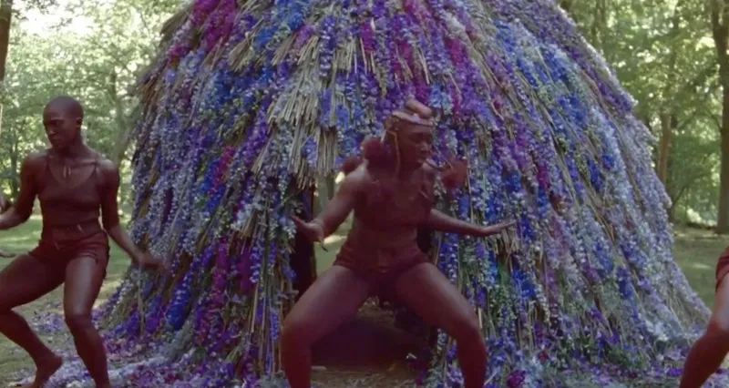 Video Black Is King.