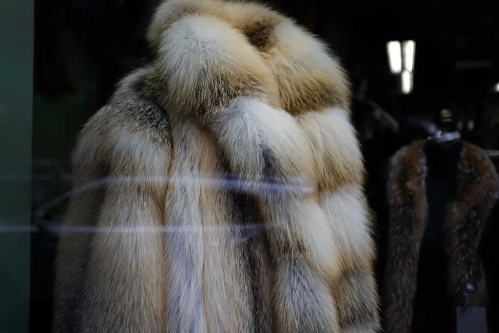 New York City Council Considers City Wide Ban On Fur Sales