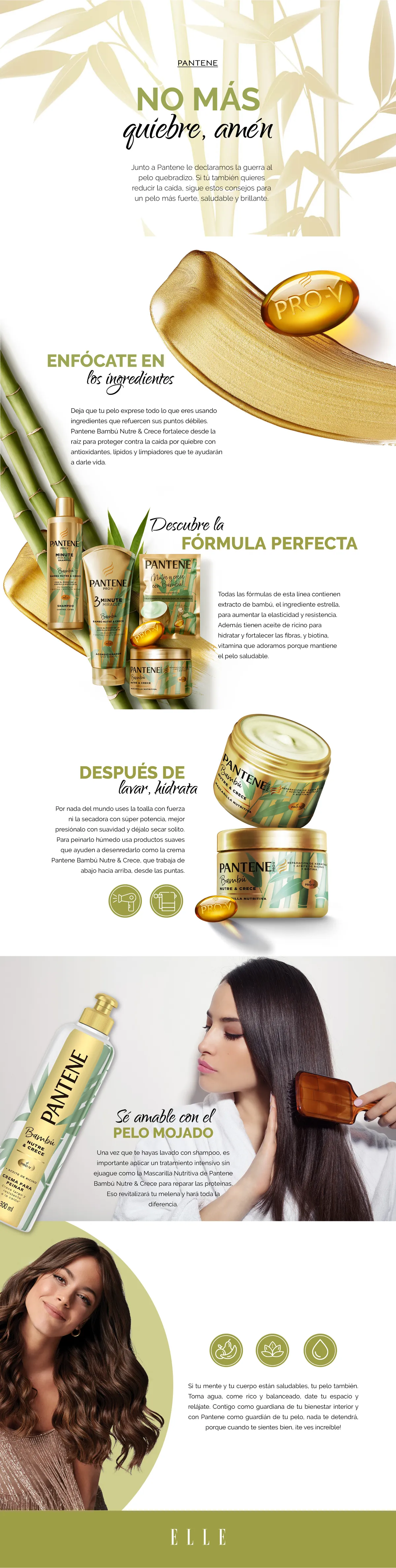 p&gpantene_info_elle.jpg