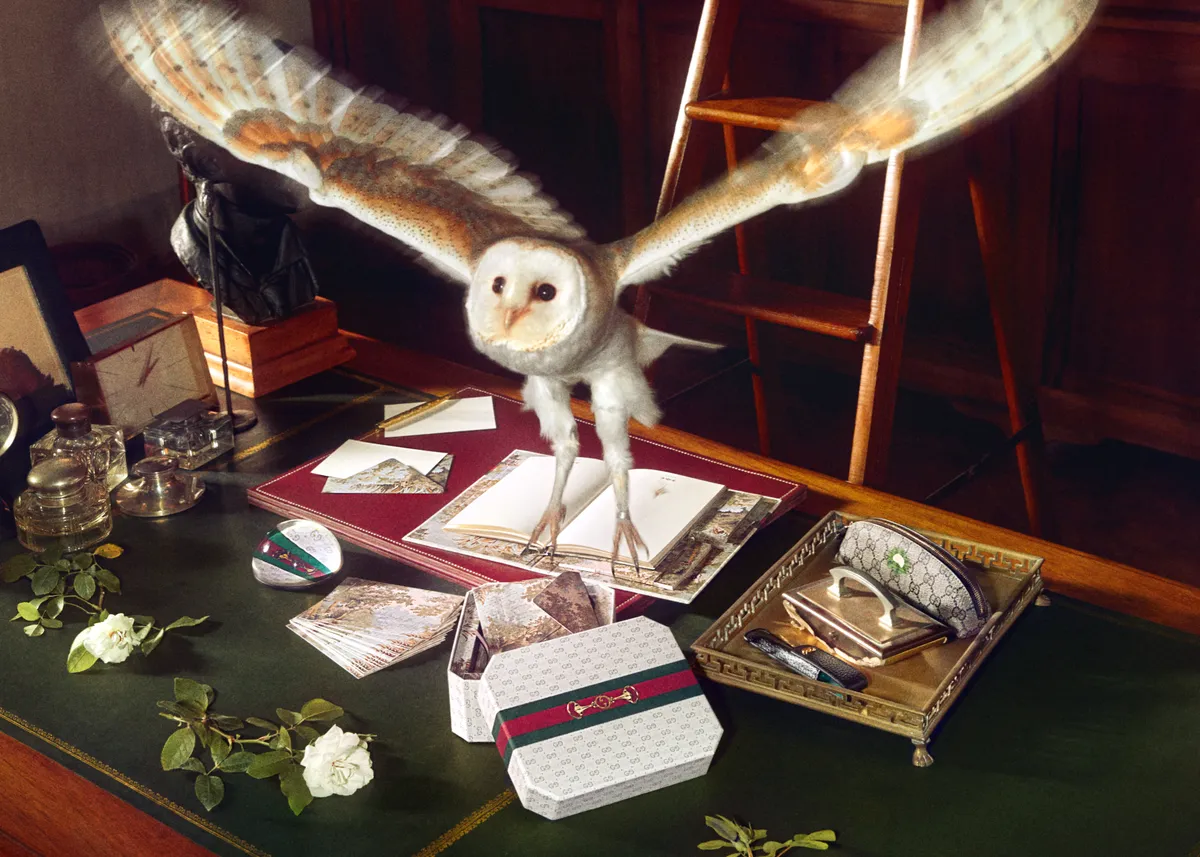 Papelería Gucci