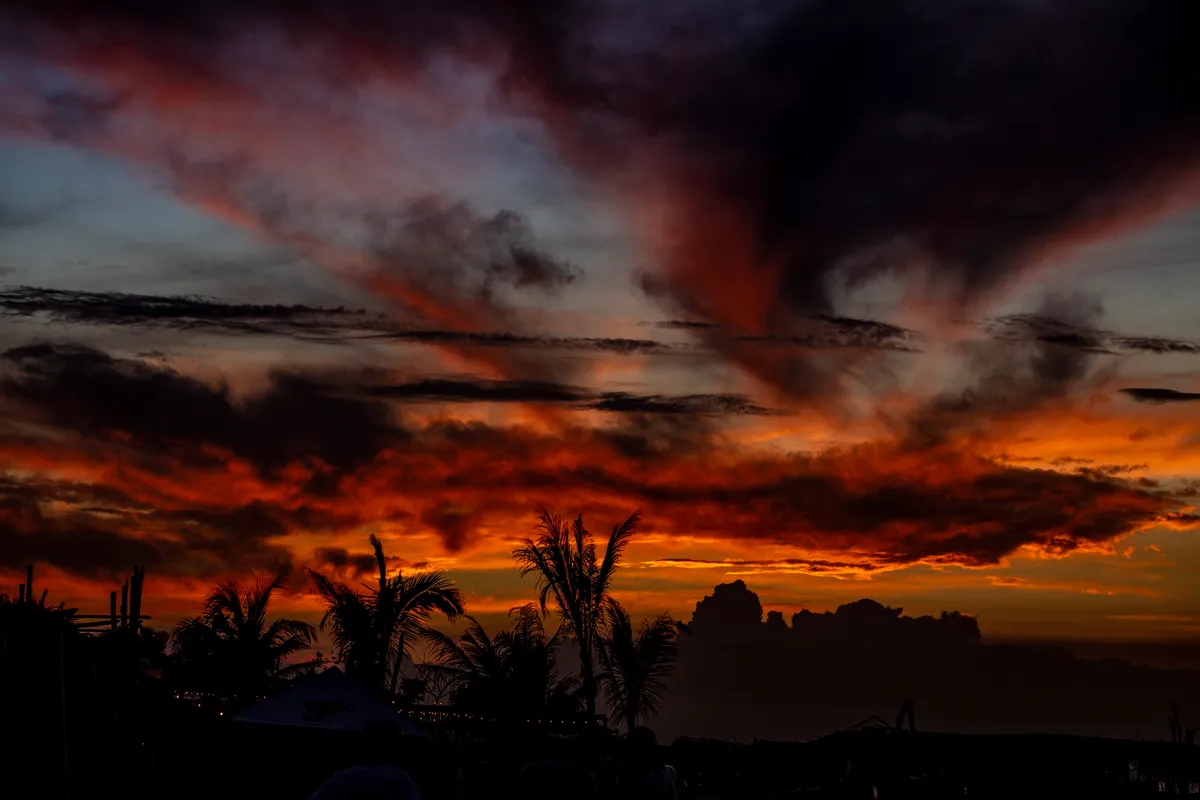 MiVeracruz_2021_IslaDeEnmedio_79.jpg