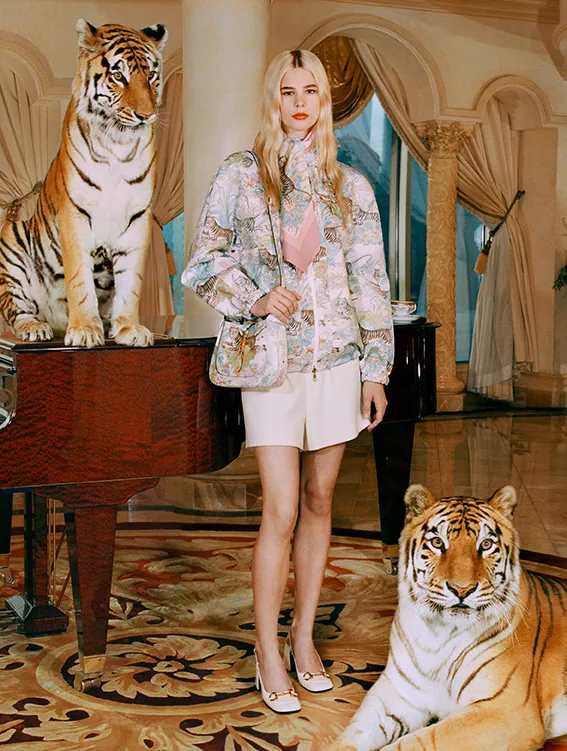gucci tigres