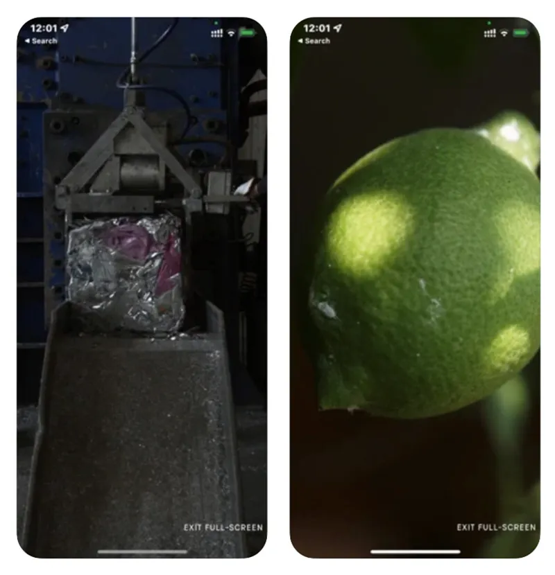bottega veneta verde app