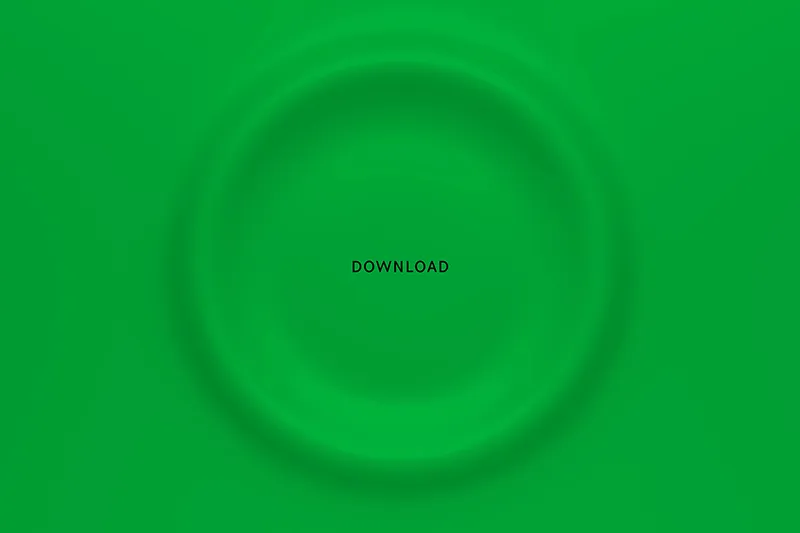 bottega veneta app verde