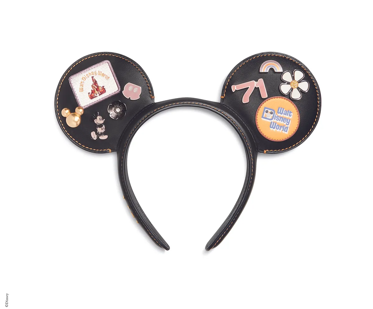 C8658_BLK_DisneyParksDisneyWorldMickeyEars_CMYK_HR300.jpg