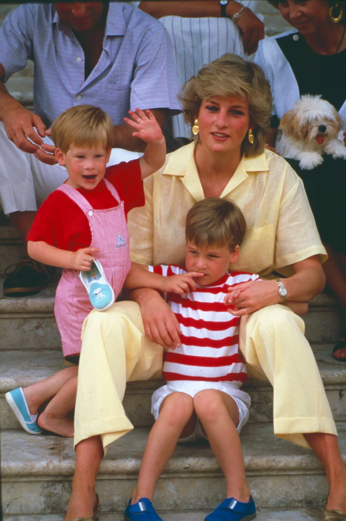 lady di harry william