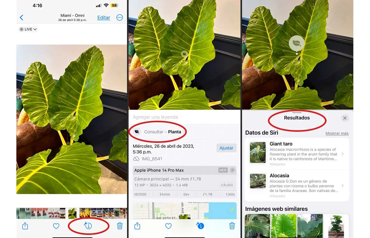 plantas-iphone.jpg