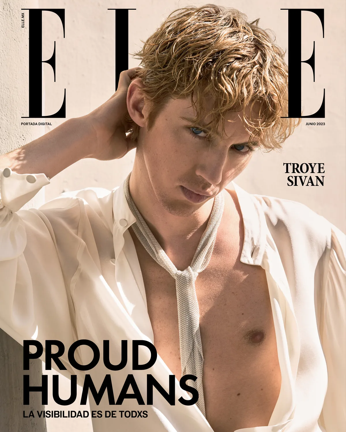 256 PORTADA DIGITAL TROYE.jpg