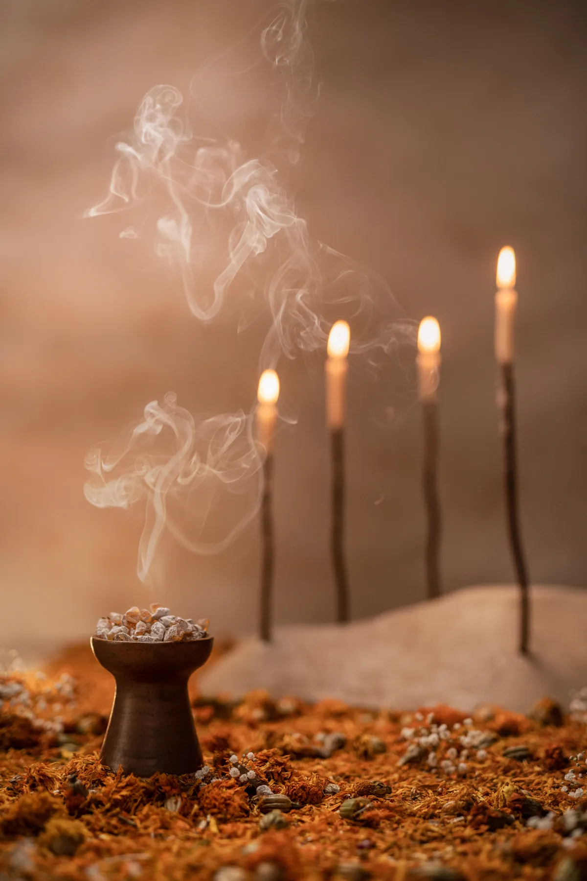 DDM_2023_Aromas_13.jpg
