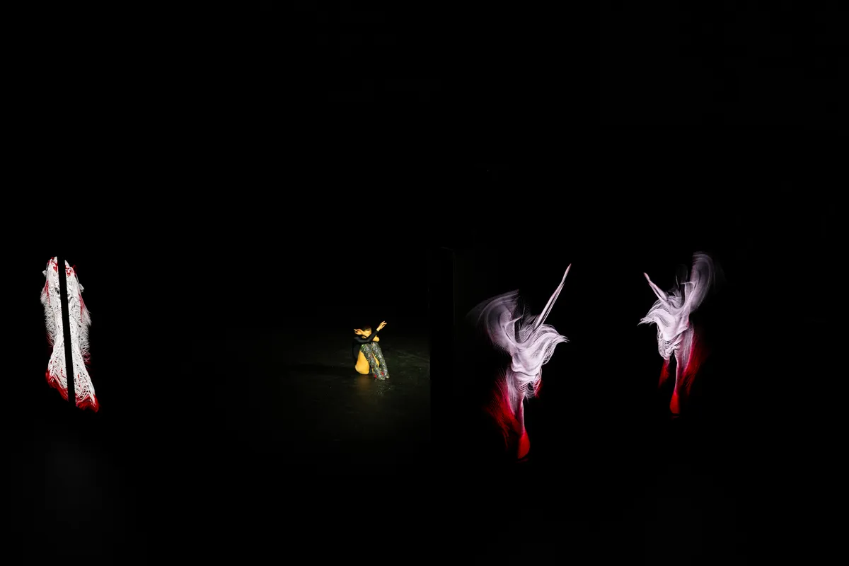 iuliamatei_louboutin_performance_-2.jpg