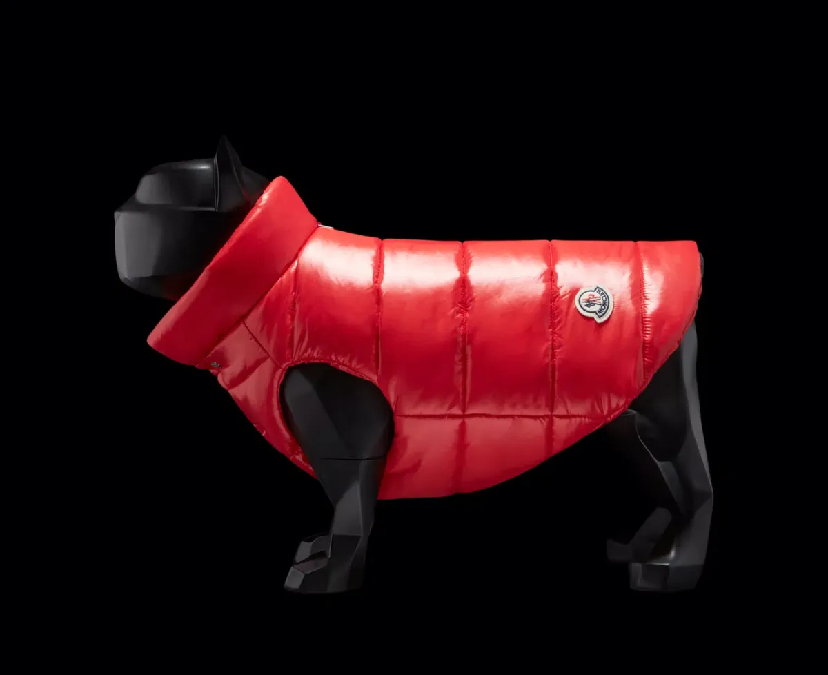 moncler perros