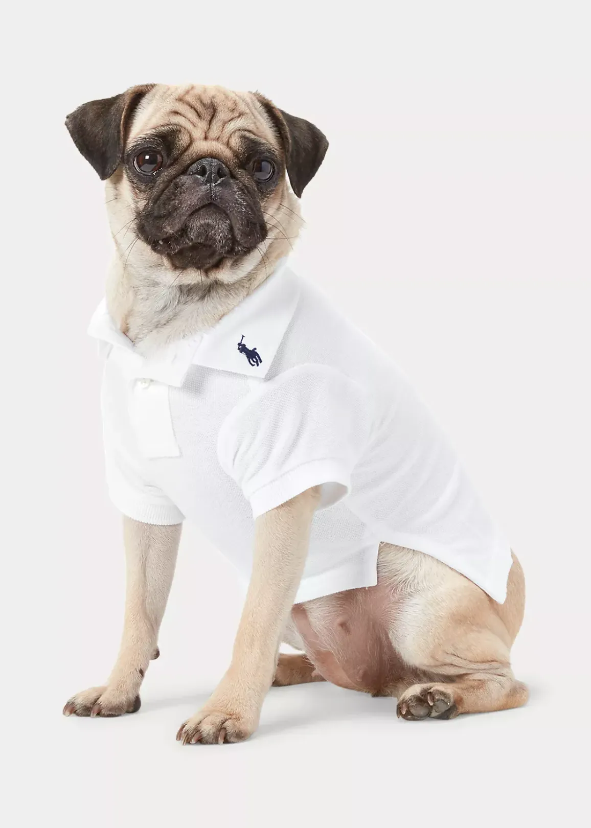 ralph lauren perros