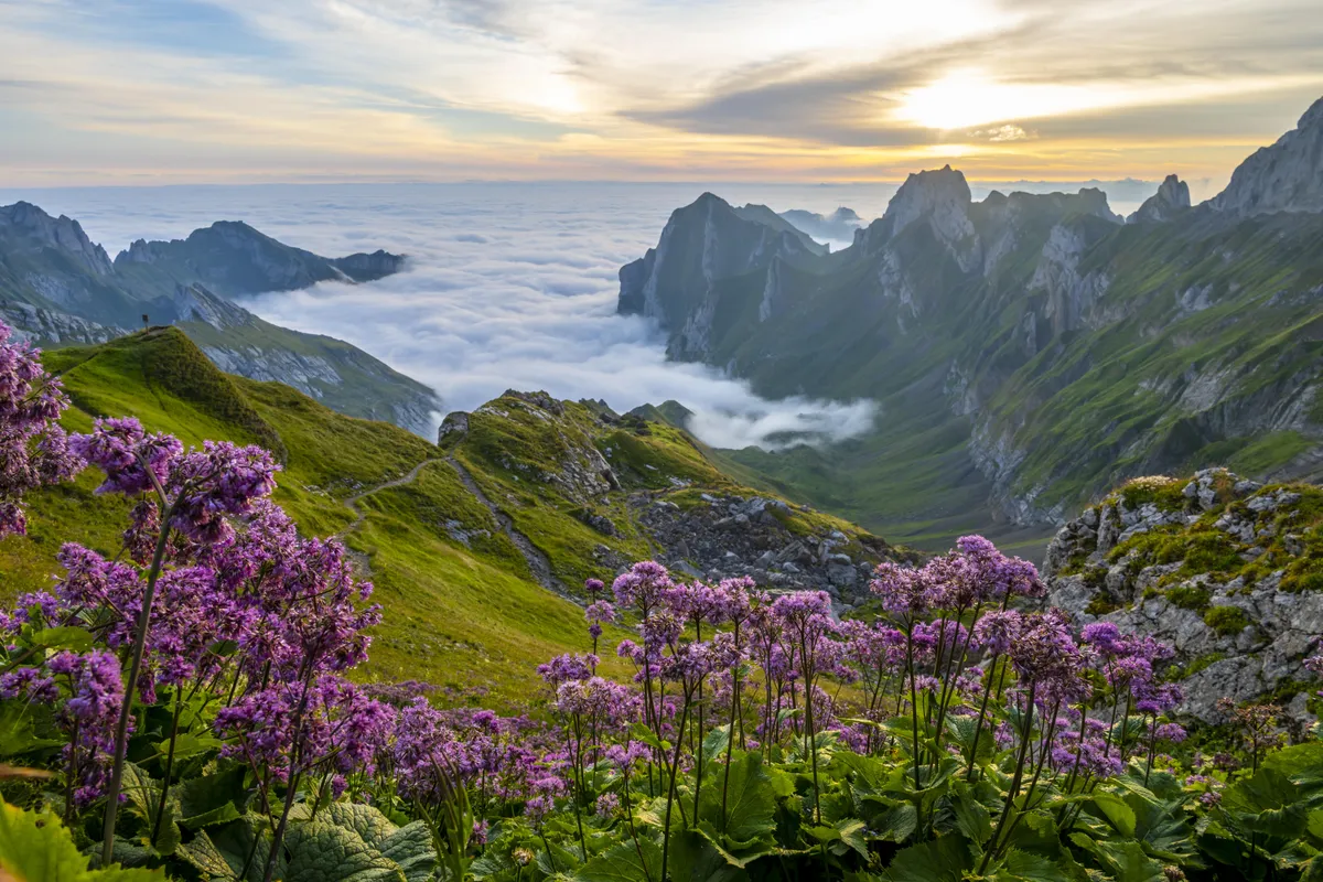 suiza jura relojeria