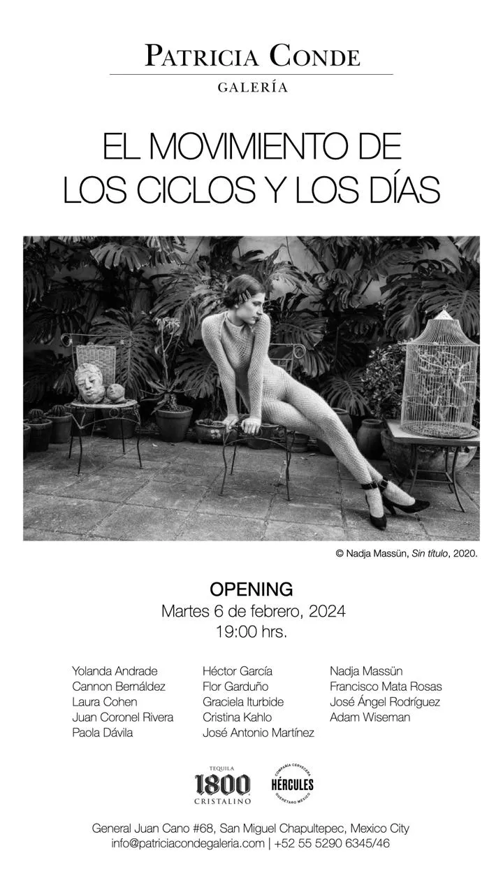 Patricia Conde Galería