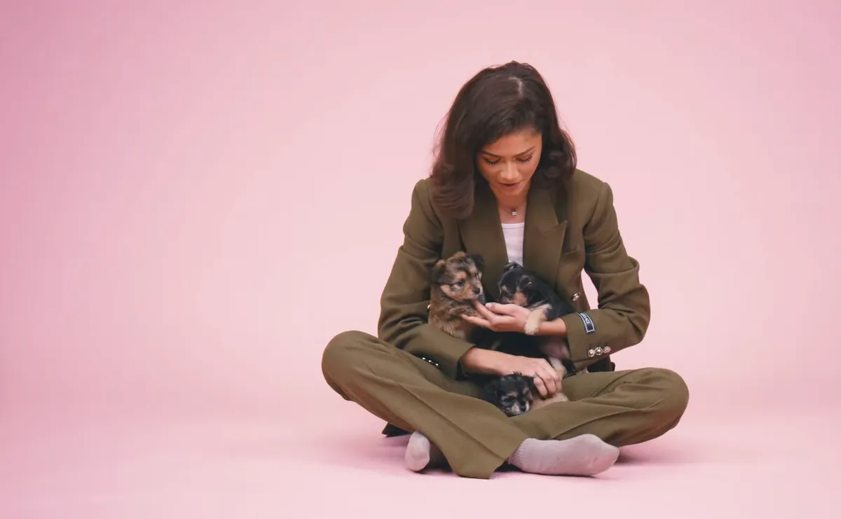 Zendaya habla sobre el carisma de Tom Holland.