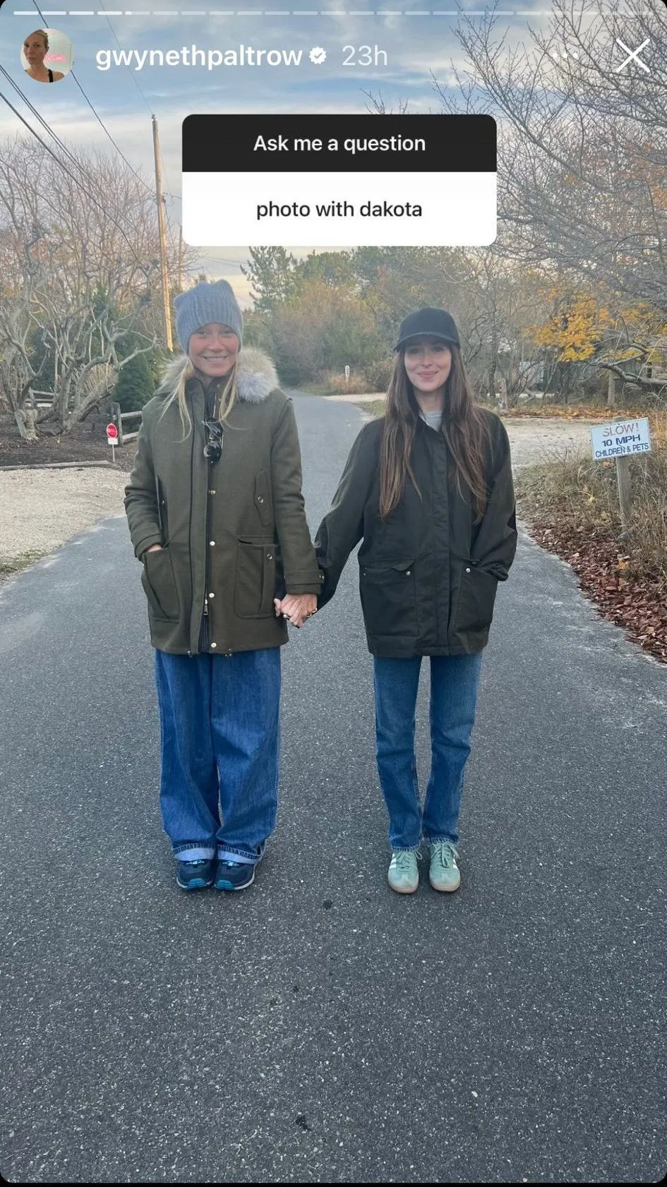 Dakota Johnson y Chris Martin se comprometen y tienen la bendición de Gwyneth Paltrow.