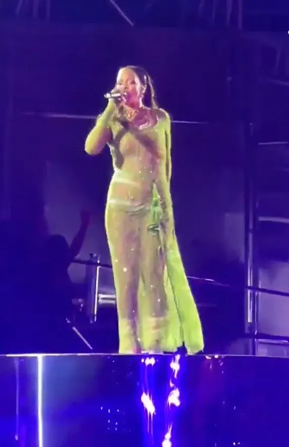 Rihanna da un concierto privado en la boda de una pareja millonaria de la India