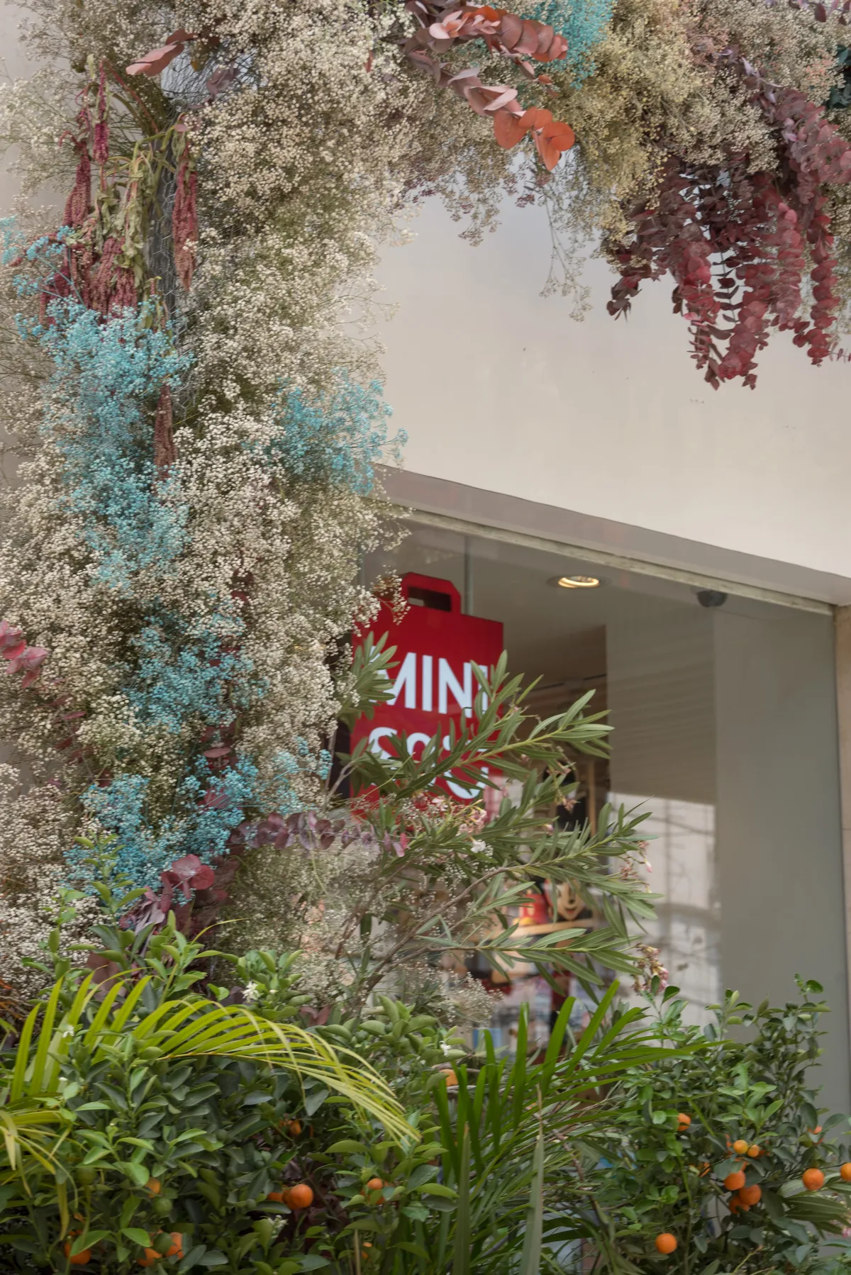 Polanco en Flores 2024: Miniso