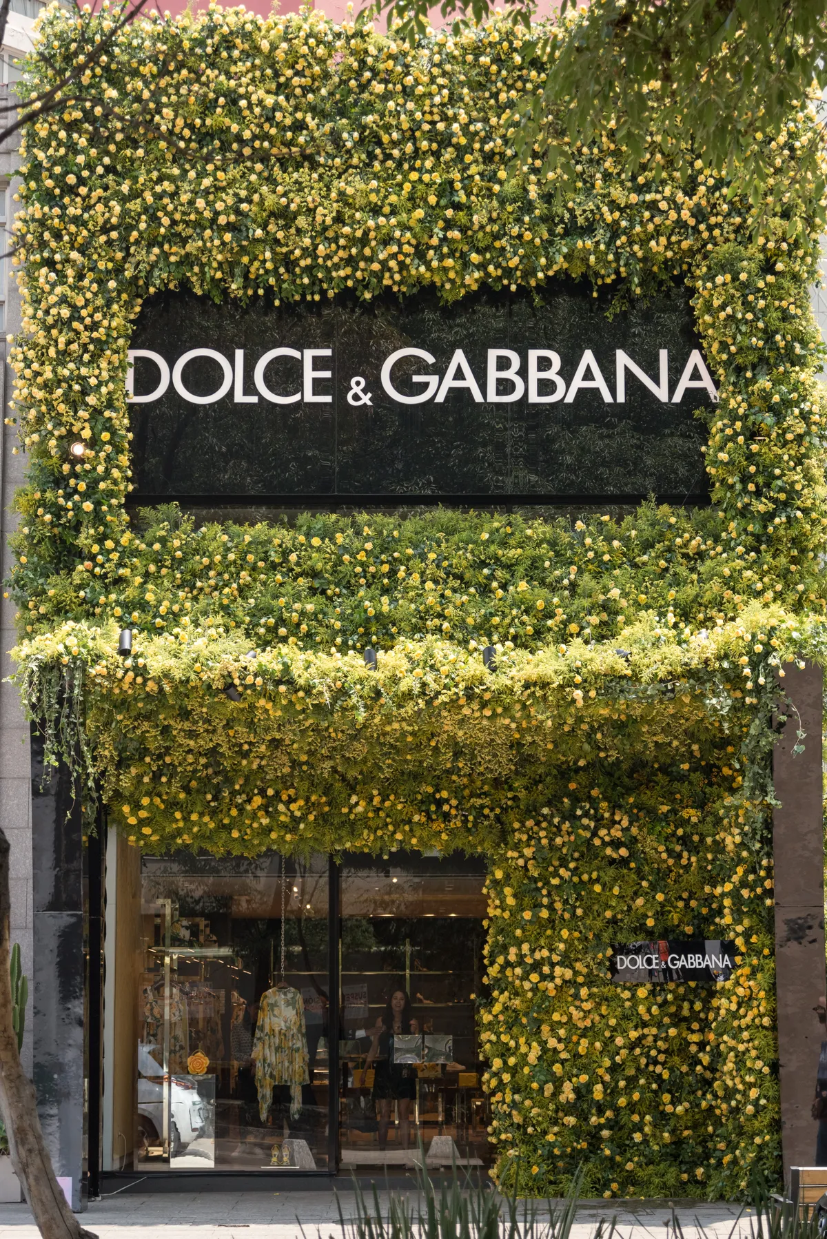 Polanco en Flores 2024: Dolce&Gabbana