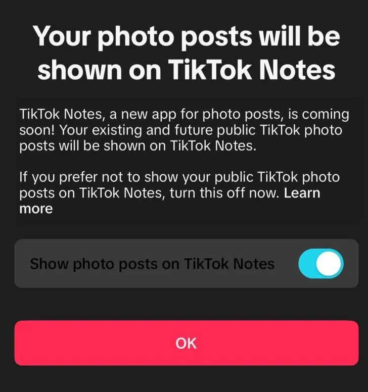 ¿Qué es TikTok Notes? La próxima red social que planea competir con Instagram,.jpeg