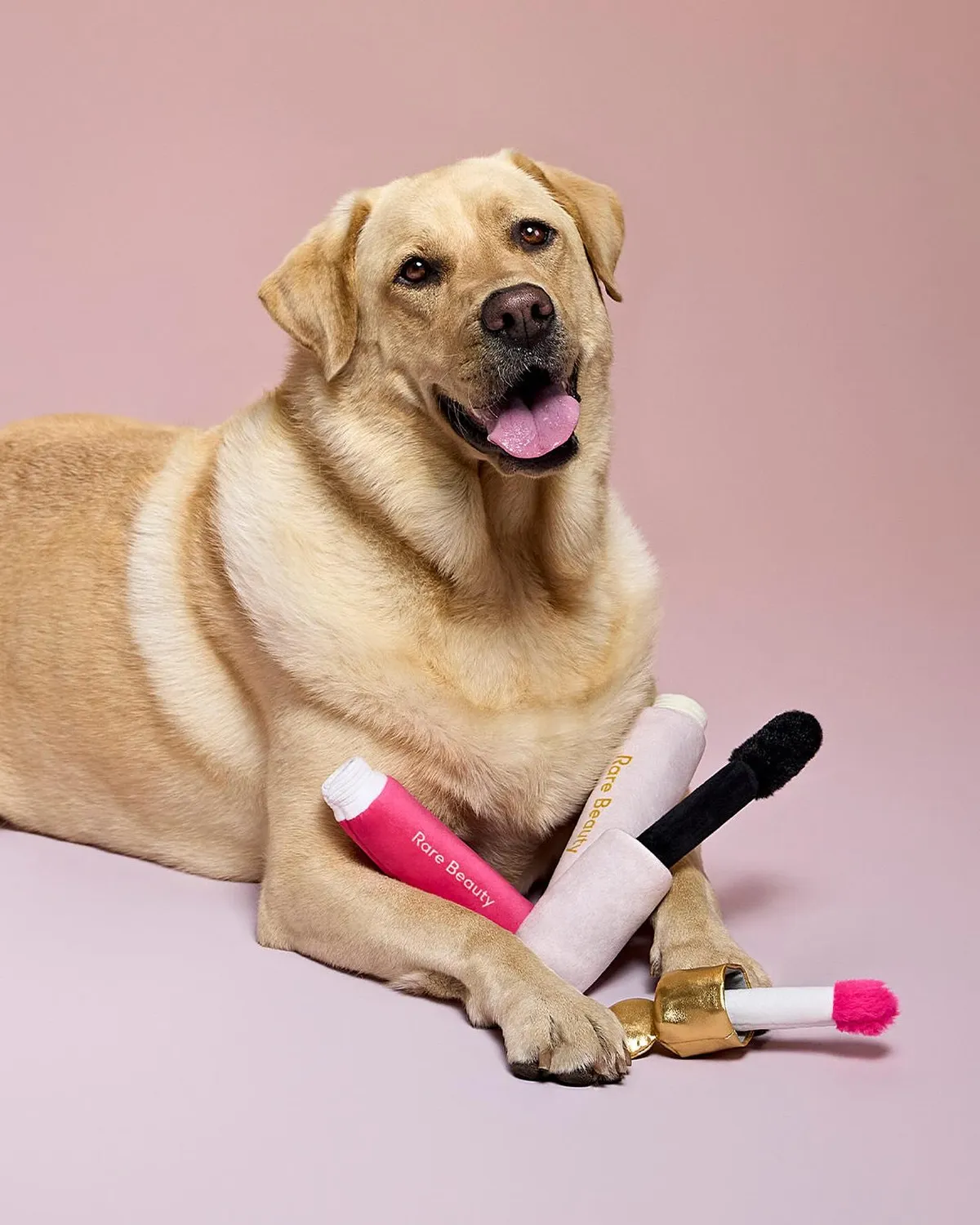 Selena Gomez lanza productos de Rare Beauty para perritos