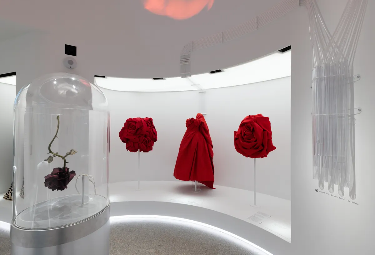 The Red Rose
