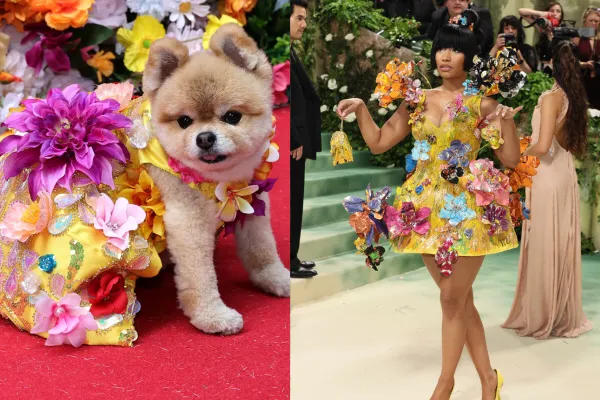 La Pet Gala: todos los perritos que recrearon looks de la Met Gala 2024 