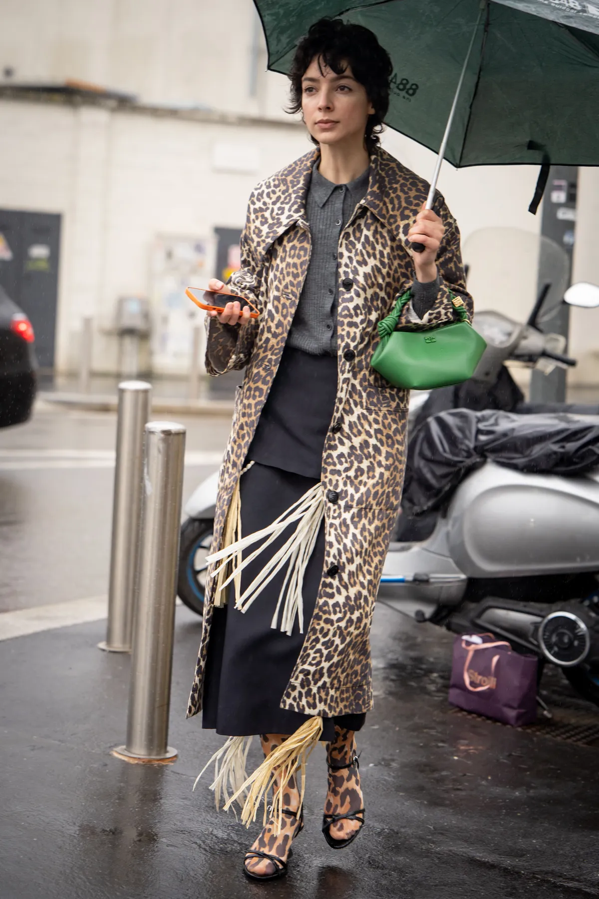 leopardo