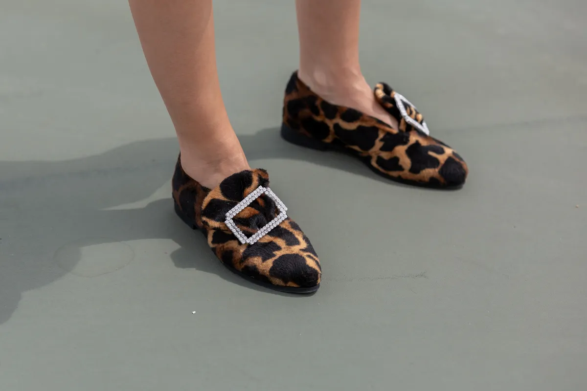 leopardo
