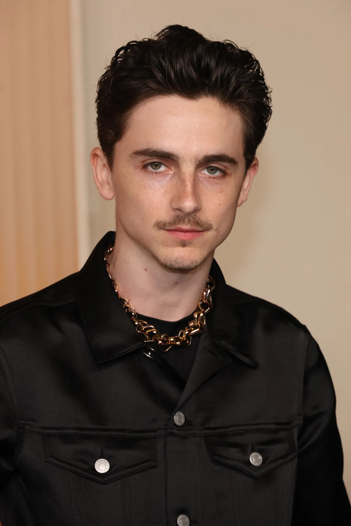 timothee chalamet gap