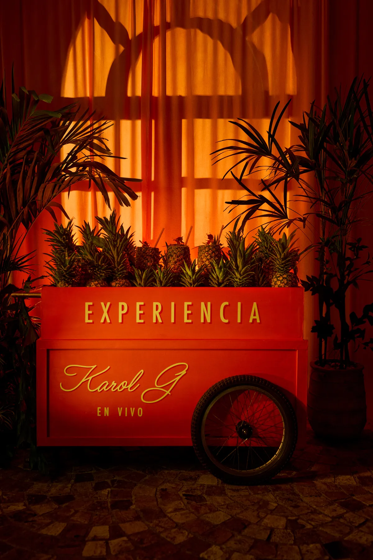 Experiencia Karol G con Airbnb