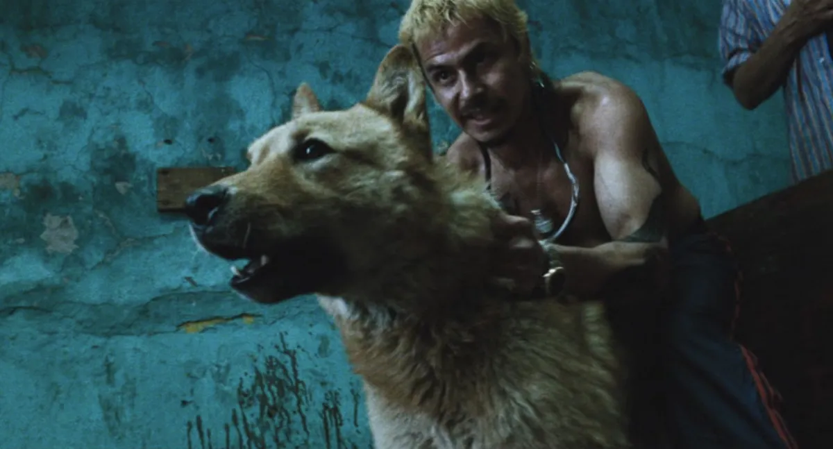 amores perros