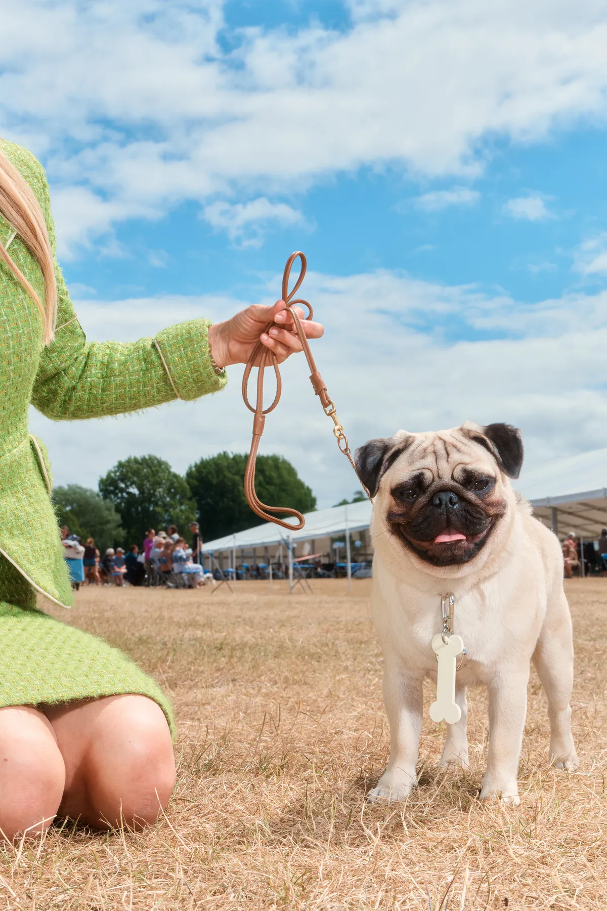 DOG-COLLECTION-001.jpg
