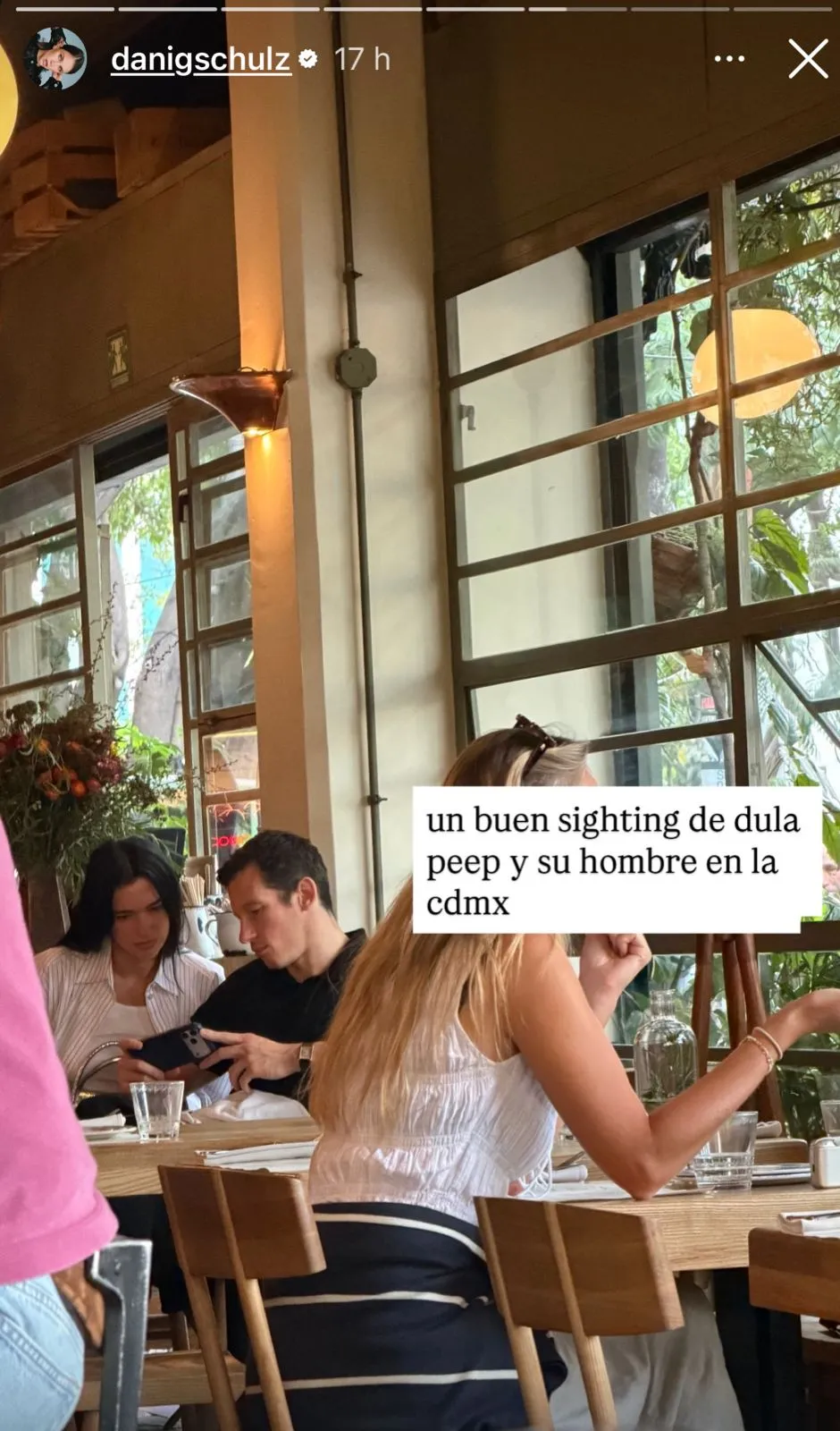 dua-lipa-lardo.jpeg