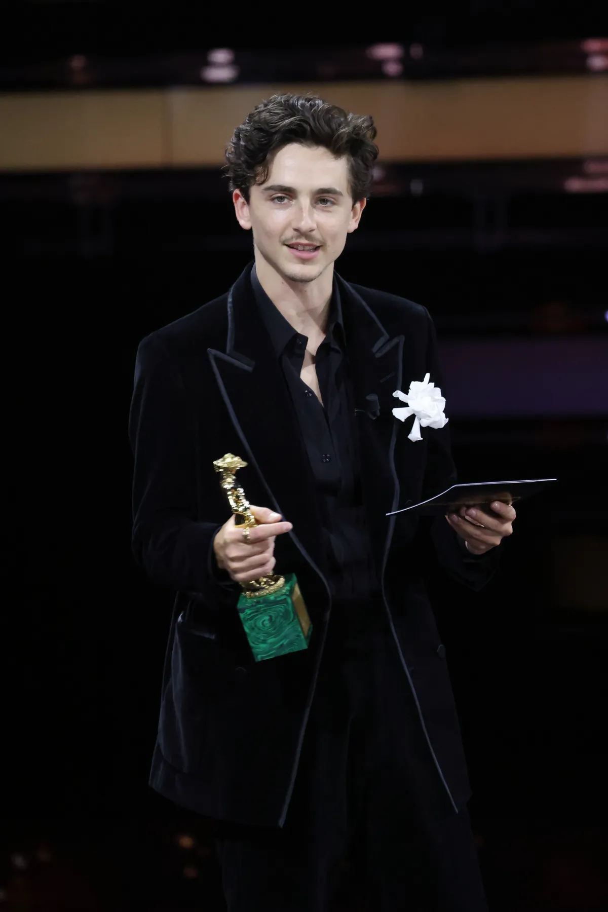 timothee chalamet