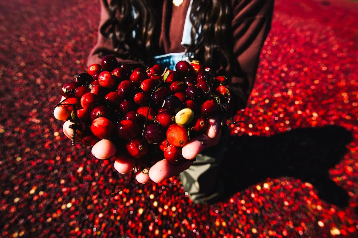 OCEAN SPRAY-15.jpg