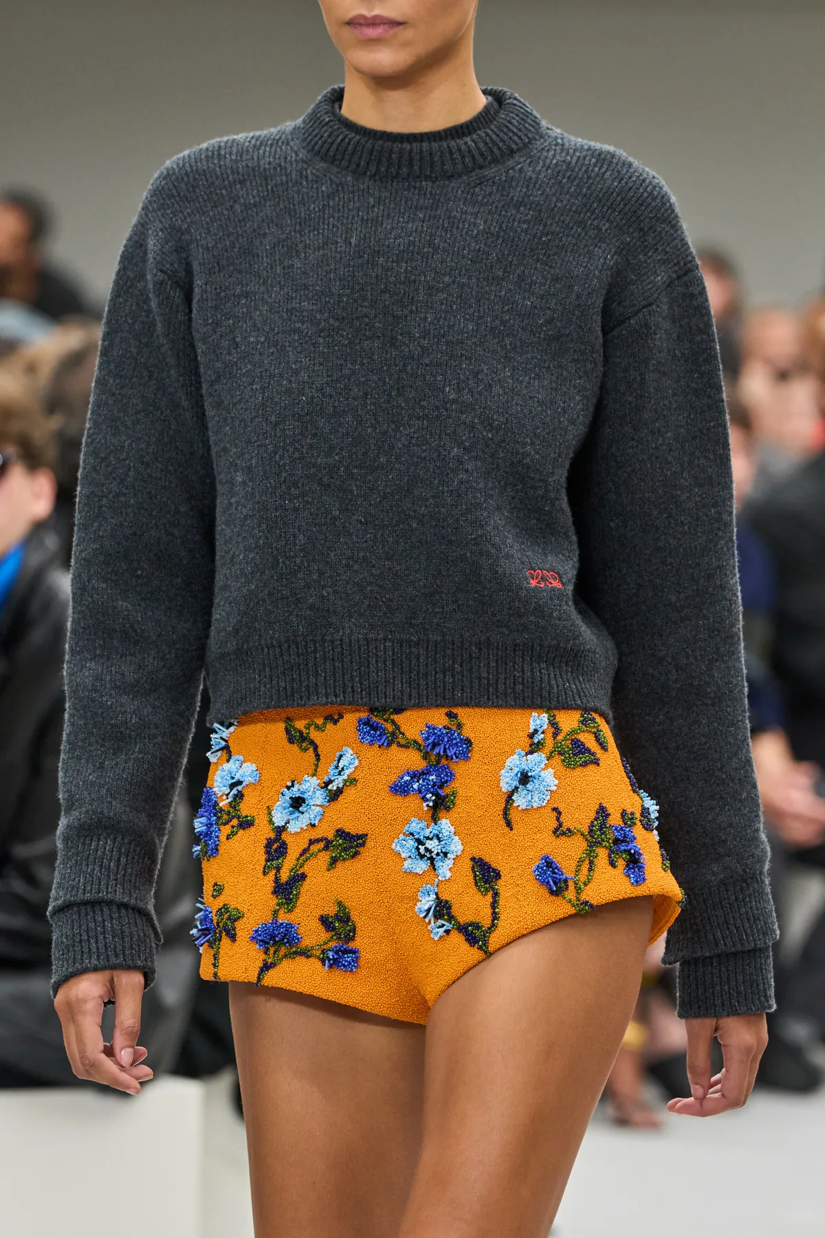 Loewe Spring Summer 2027
