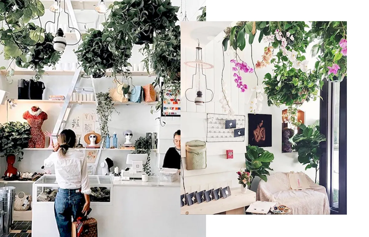 Concept-Stores