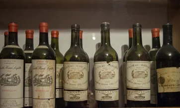 vino