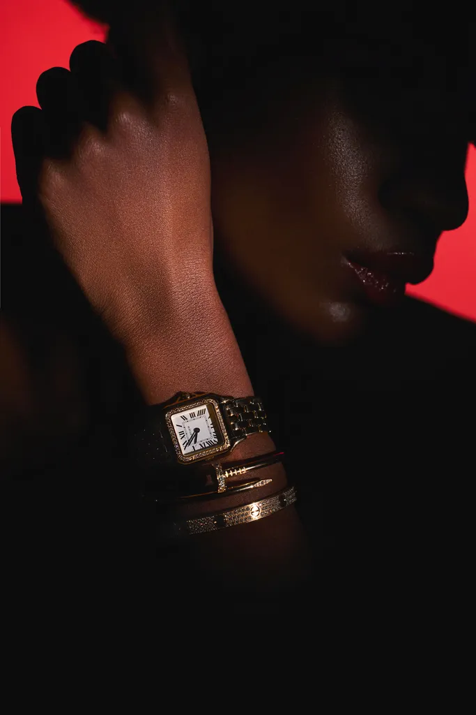 Las colecciones más icónicas de Cartier toman forma en estas piezas