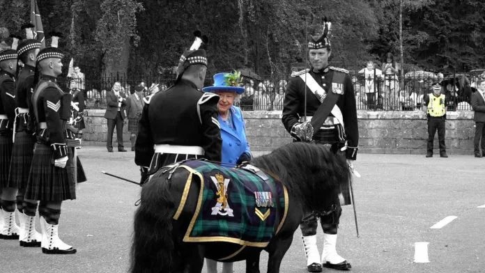 Reina-Cruachan-Iv