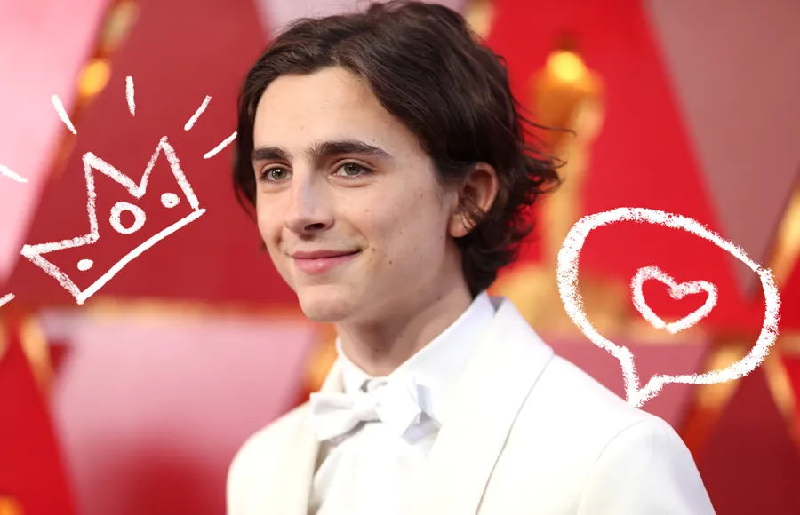 Timothee-Chalamet-Oscar-
