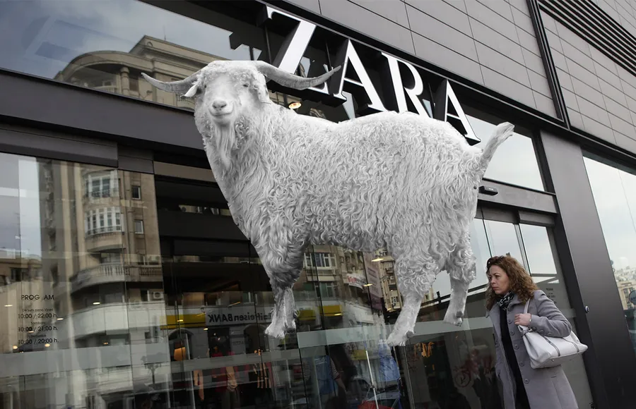 Zara-Cabra
